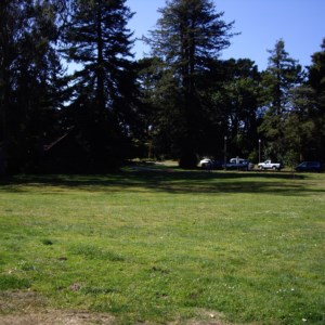 A view of the grassy site that was reserved. The two grills and picnic tables are behind us!